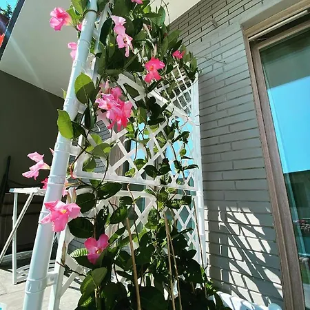 Relaxing דירה